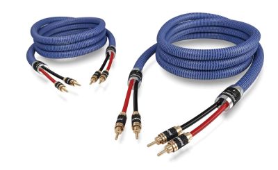 Ricable Invictus Speaker Reference  - 2x2.5m Gliwice  - Media Hit - Sklep audio