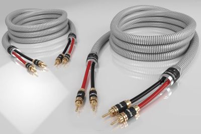 Ricable Invictus Speaker Reference MKII - 2x2.5m Gliwice  - Media Hit - Sklep audio