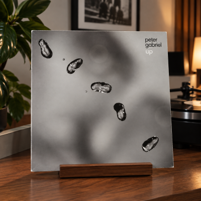 Peter Gabriel – Up | 2LP winyl - Media Hit - Sklep audio